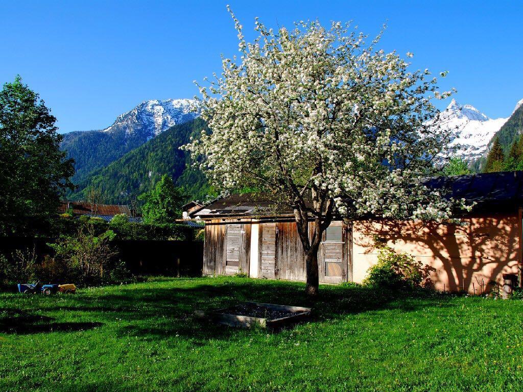 Haus Stainer Apartman Lofer Kültér fotó